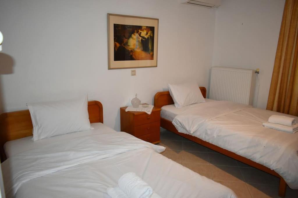 Thalia'S House Apartment Trikala  Exterior photo