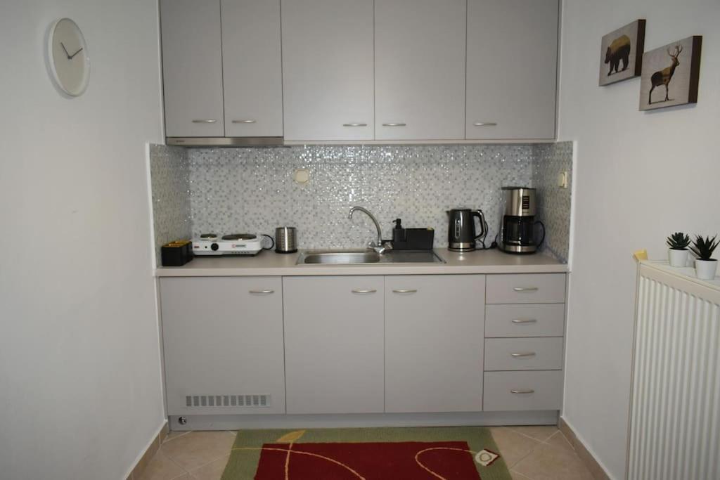 Thalia'S House Apartment Trikala  Exterior photo